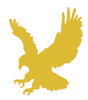 Golden Eagle Copy Image